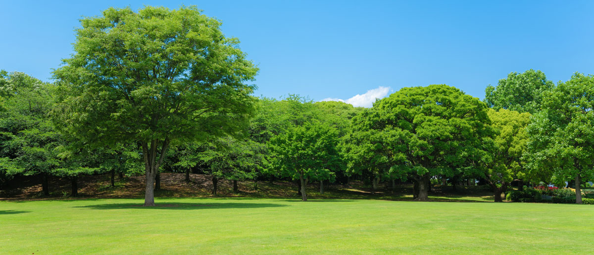 自然環境の画像